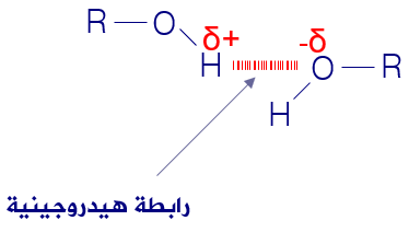 الرابطة الهيدروجينية بين جزيئات الكحولات